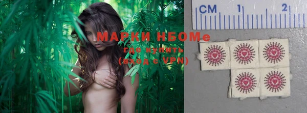 гашик Кулебаки
