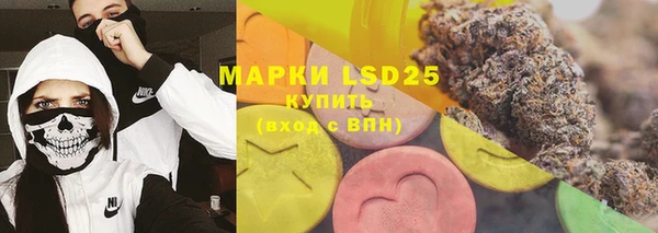 гашик Кулебаки