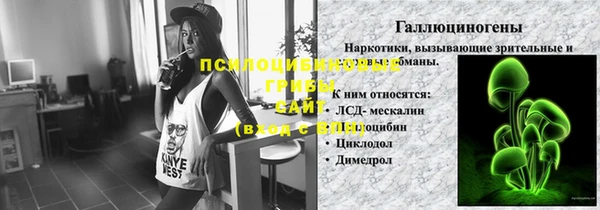 стафф Ладушкин