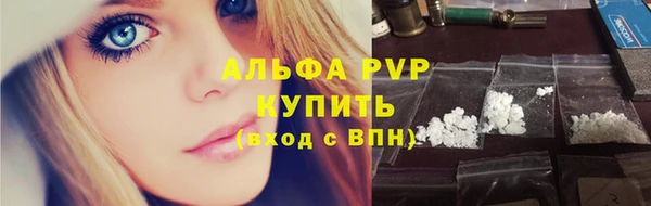 стафф Ладушкин