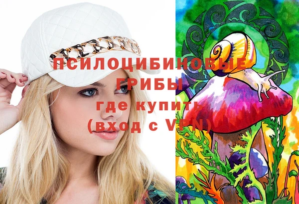 стафф Ладушкин