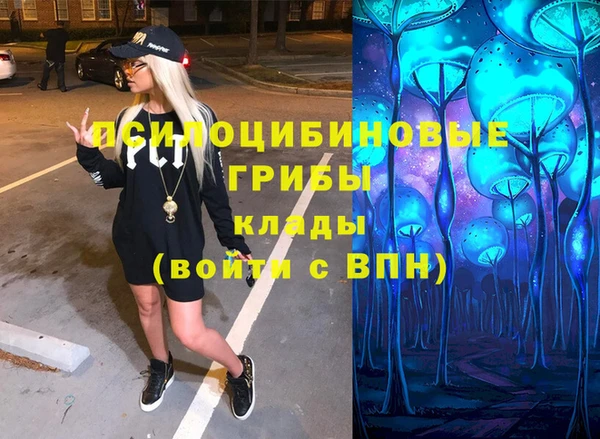 мяу мяу мука Куйбышев