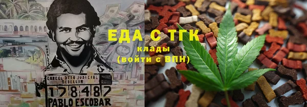 гашик Кулебаки