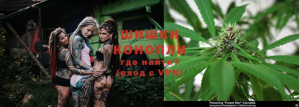спиды Кукмор