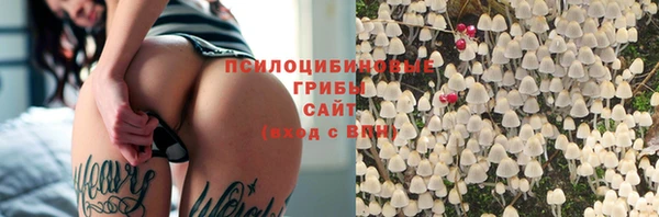 спиды Кукмор