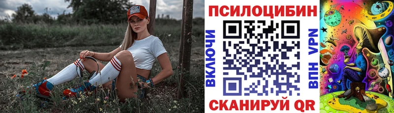 Псилоцибиновые грибы Psilocybine cubensis  Иноземцево 